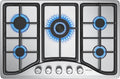 Plaque de cuisson IsEasy, 8 mm, 5 Brûleurs -Acier Inoxydable, 10, 5 kW, 3, 3 kW, 2, 7 kW, 1, 75 kW, 1, 0 kW, 240V, 50 Hz, 120V, 60 Hz, 76cm